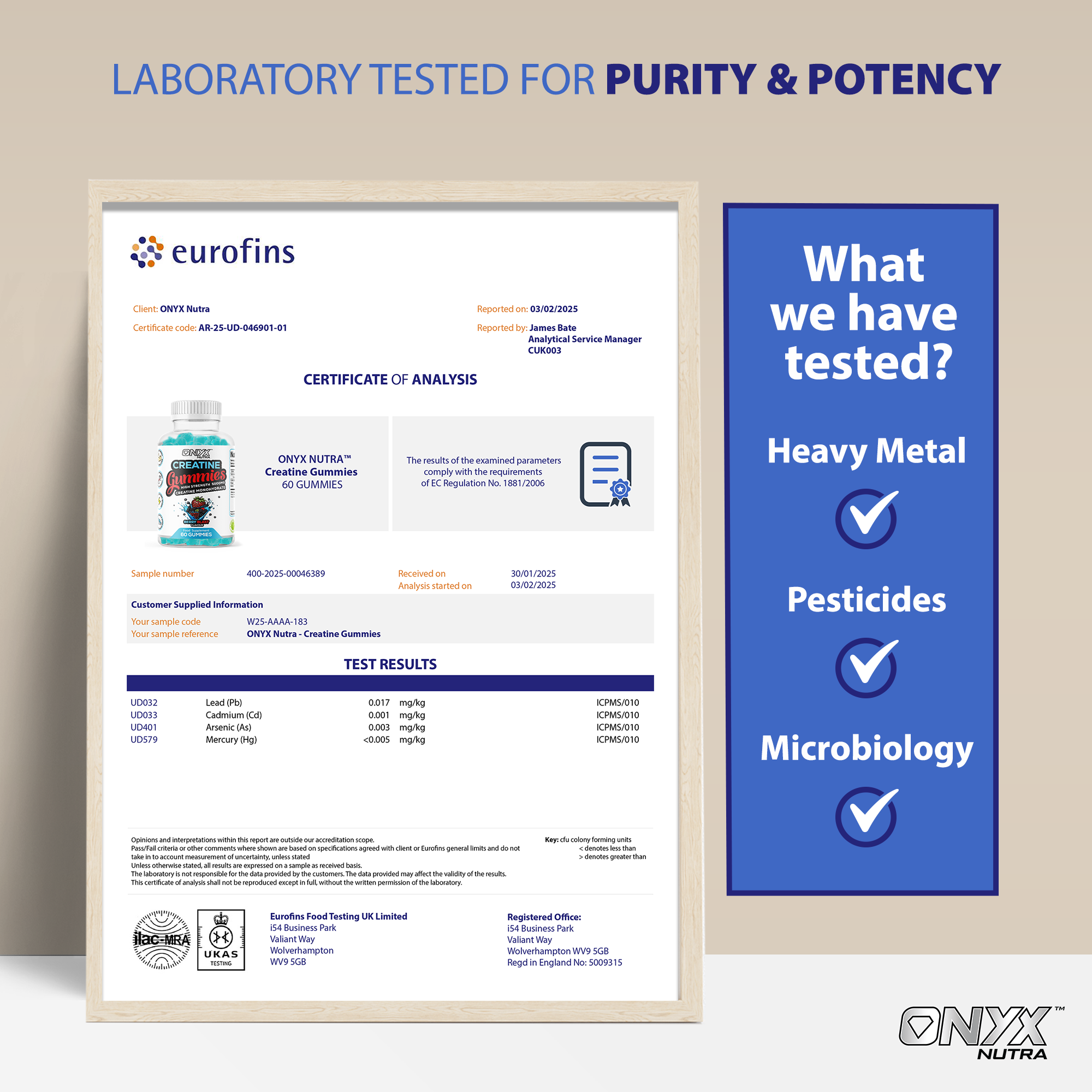 Créatine Gummies - Créatine Monohydrate 5000mg - 60 Gummies 